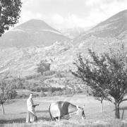 paesaggio (Positivo) di Groth-Schmachtenberger, Erika (1956/01/01 - 1956/12/31)