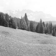 paesaggio (Positivo) di Groth-Schmachtenberger, Erika