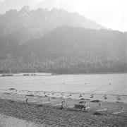 persone (Positivo) di Groth-Schmachtenberger, Erika (1954/01/01 - 1954/12/31)