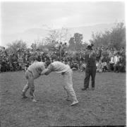 persone (Positivo) di Groth-Schmachtenberger, Erika (1951/01/01 - 1951/12/31)