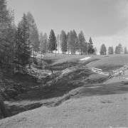 paesaggio (Positivo) di Groth-Schmachtenberger, Erika (1956/01/01 - 1956/12/31)