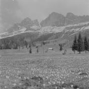 paesaggio (Positivo) di Groth-Schmachtenberger, Erika (1953/01/01 - 1953/12/31)