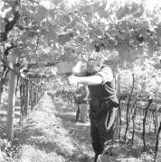 persone (Positivo) di Groth-Schmachtenberger, Erika (1969/01/01 - 1969/12/31)