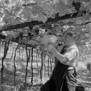 persone (Positivo) di Groth-Schmachtenberger, Erika (1969/01/01 - 1969/12/31)