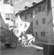 Wagen (Positivo) di Groth-Schmachtenberger, Erika (1954/01/01 - 1954/12/31)