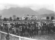 Pferderennen (Positivo) di Bährendt, Leo (1911/01/01 - 1911/12/31)