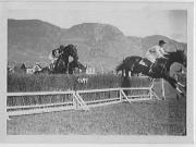 Pferderennen (Positivo) di Joffé, Emil (1925/01/01 - 1925/12/31)