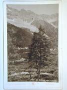 Berg (Positivo) (1900/01/01 - 1900/12/31)