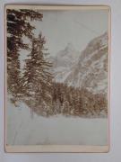 Berg (Positivo) (1900/01/01 - 1900/12/31)