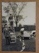 Verkehr (Positivo) di Celere (1958/10/11 - 1958/10/12)