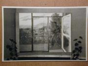 Ausstellung (Positivo) di Celere (1935/01/01 - 1960/12/31)