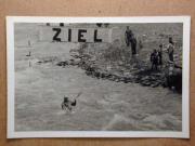 Wettkampf (Positivo) di Foto Press (1963/01/01 - 1963/12/31)