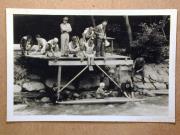 Wettkampf (Positivo) di Foto Press (1963/01/01 - 1963/12/31)