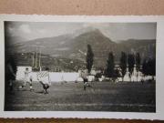 Wettkampf (Positivo) (1949/09/01 - 1949/09/01)