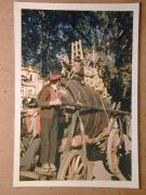 Umzug (Positivo) (1969/10/12 - 1969/10/12)