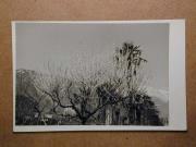 Straße (Positivo) (1935/01/01 - 1960/12/31)