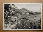 Stadtansicht (Positivo) di Foto Skulina (1935/01/01 - 1960/12/31)