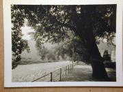 Gewässer (Positivo) (1935/01/01 - 1960/12/31)