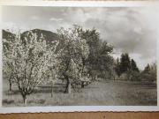 Landschaft (Positivo) (1935/01/01 - 1960/12/31)