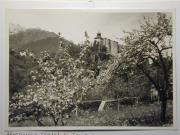 Burg und Schloß (Positivo) di Bährendt, Leo,Bährendt, Leo (1950/01/01 - 1950/12/31)