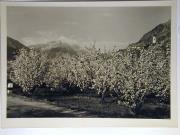 Landschaft (Positivo) (1935/01/01 - 1960/12/31)