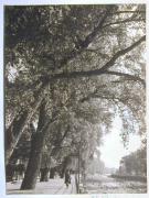 Straße (Positivo) di Stefani, Bruno (1935/01/01 - 1960/12/31)