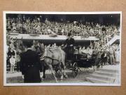 Modeschau (Positivo) di Celere (1952/01/01 - 1952/12/31)