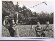 Ereignis (Positivo) (1953/01/01 - 1953/12/31)