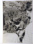 Ereignis (Positivo) (1953/01/01 - 1953/12/31)