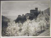 Landschaft (Positivo) di Bährendt, Leo,Bährendt, Leo (1950/01/01 - 1950/12/31)