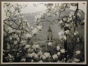 Gastbetrieb (Positivo) di Bährendt, Leo,Bährendt, Leo (1950/01/01 - 1950/12/31)