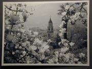 Gastbetrieb (Positivo) di Bährendt, Leo,Bährendt, Leo (1950/01/01 - 1950/12/31)