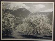 Landschaft (Positivo) di Bährendt, Leo,Bährendt, Leo (1950/01/01 - 1950/12/31)