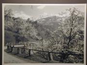 Landschaft (Positivo) di Bährendt, Leo,Bährendt, Leo (1950/01/01 - 1950/12/31)