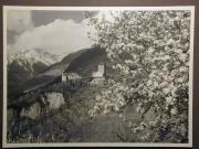 Landschaft (Positivo) di Bährendt, Leo,Bährendt, Leo (1950/01/01 - 1950/12/31)