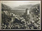 Landschaft (Positivo) di Bährendt, Leo,Bährendt, Leo (1950/01/01 - 1950/12/31)