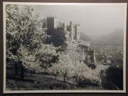 Burg und Schloß (Positivo) di Bährendt, Leo,Bährendt, Leo (1950/01/01 - 1950/12/31)