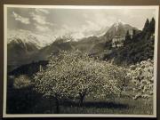 Burg und Schloß (Positivo) di Bährendt, Leo,Bährendt, Leo (1950/01/01 - 1950/12/31)