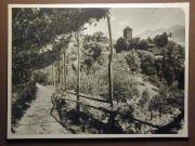 Burg und Schloß (Positivo) di Bährendt, Leo,Bährendt, Leo (1950/01/01 - 1950/12/31)