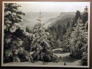 Berg (Positivo) di Bährendt, Leo,Bährendt, Leo (1950/01/01 - 1950/12/31)