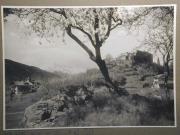 Landschaft (Positivo) di Bährendt, Leo,Bährendt, Leo (1934/01/01 - 1934/12/31)