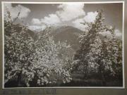 Landschaft (Positivo) di Bährendt, Leo,Bährendt, Leo (1934/01/01 - 1934/12/31)