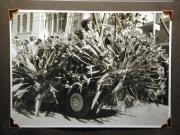Ereignis (Positivo) (1955/02/22 - 1955/02/22)