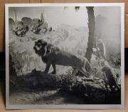 Ausstellung (Positivo) (1950/01/01 - 1950/12/31)