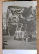 Ausstellung (Positivo) (1950/01/01 - 1950/12/31)