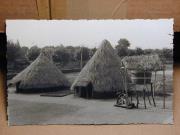 Ausstellung (Positivo) (1950/01/01 - 1950/12/31)