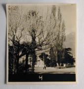 Straße (Positivo) di Foto Press (1935/01/01 - 1960/12/31)