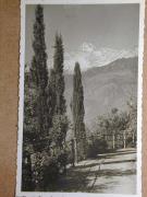 Landschaft (Positivo) di Bährendt, Leo,Bährendt, Leo (1935/01/01 - 1960/12/31)