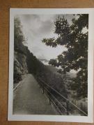 Landschaft (Positivo) (1935/01/01 - 1960/12/31)