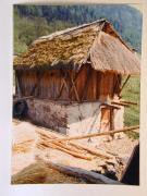 Hof (Positivo) di Ziegler, Kosmas (1976/05/07 - 1976/05/07)